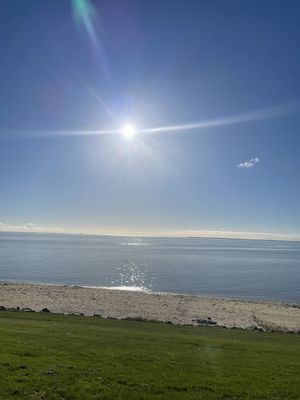 Image chosen by user