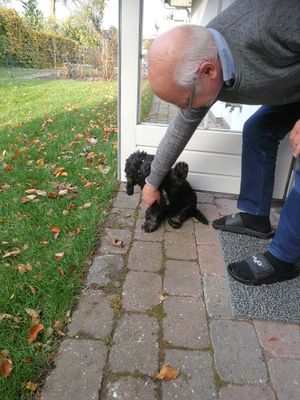 Image chosen by user