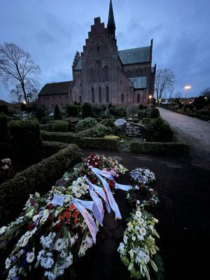 Image chosen by user