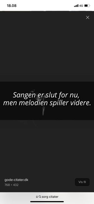 Brugervalgt billede