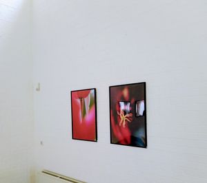 Image chosen by user