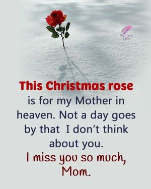 Image chosen by user