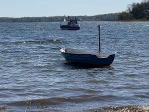 Image chosen by user