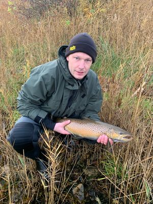 Image chosen by user