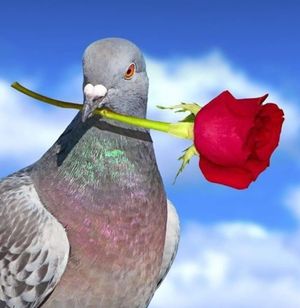 Image chosen by user