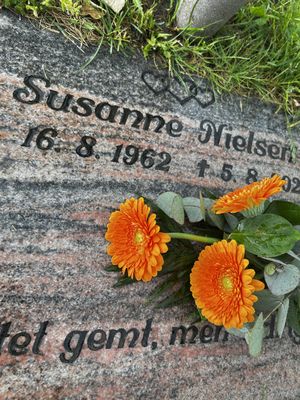 Image chosen by user