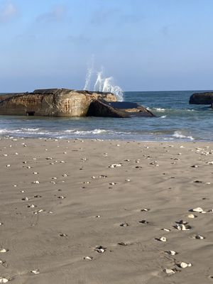 Image chosen by user