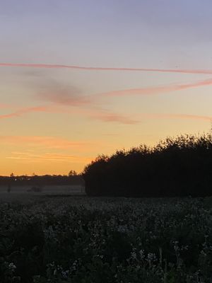 Image chosen by user