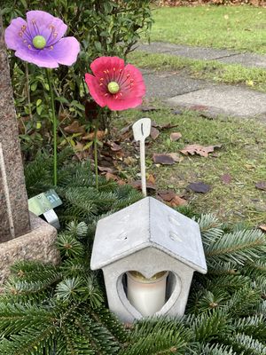 Image chosen by user