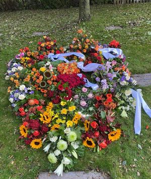 Image chosen by user