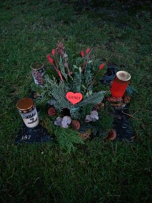 Image chosen by user