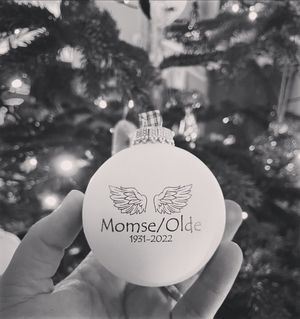 Image chosen by user