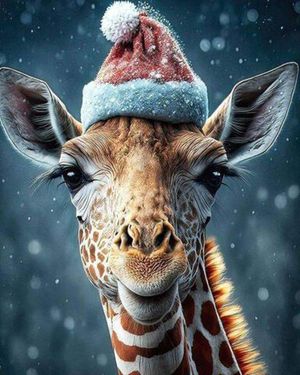 Image chosen by user