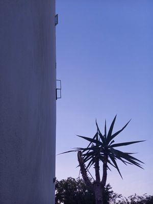 Image chosen by user