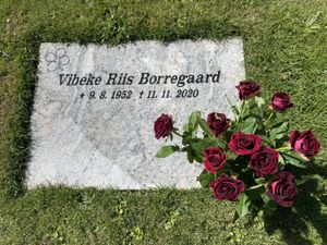 Image chosen by user