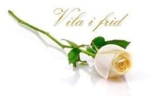 Image chosen by user