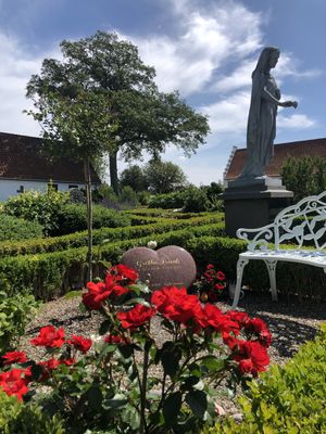 Image chosen by user