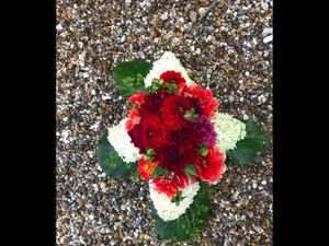 Image chosen by user