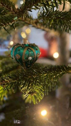 Image chosen by user