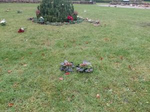 Image chosen by user