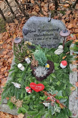 Image chosen by user