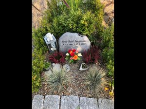 Image chosen by user