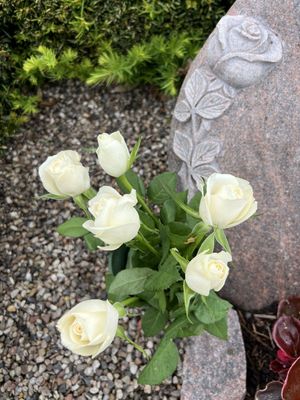 Brugervalgt billede