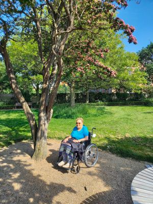 Image chosen by user