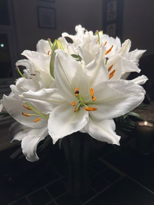 Image chosen by user
