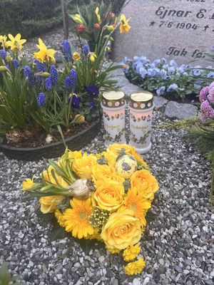 Image chosen by user