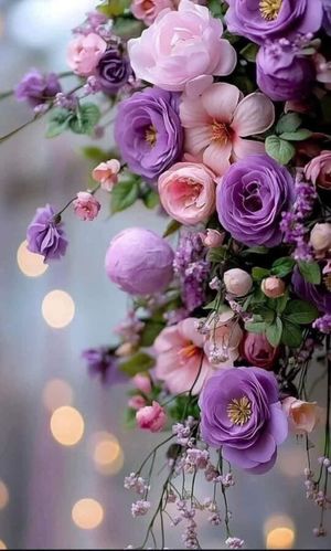 Image chosen by user