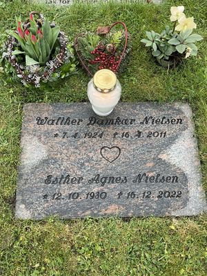 Image chosen by user