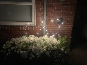 Image chosen by user