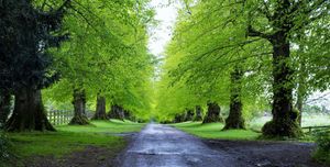 Image chosen by user