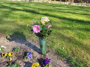 Image chosen by user