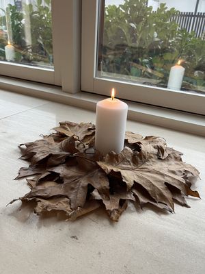 Image chosen by user