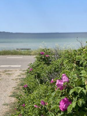 Image chosen by user