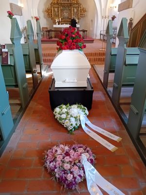 Image chosen by user