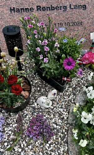 Image chosen by user