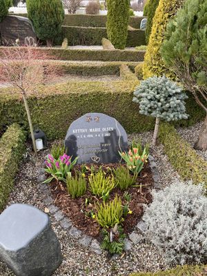 Image chosen by user