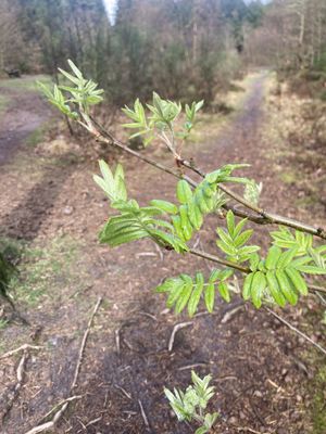 Image chosen by user