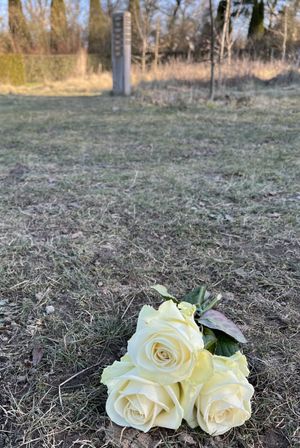 Image chosen by user