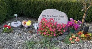 Image chosen by user