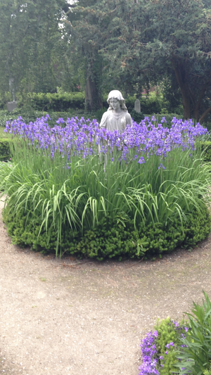 Image chosen by user