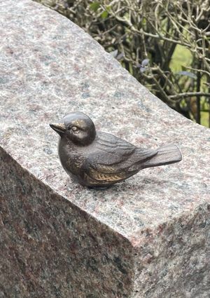 Image chosen by user