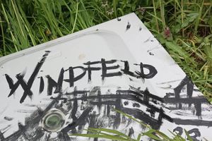 Image chosen by user