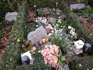 Image chosen by user