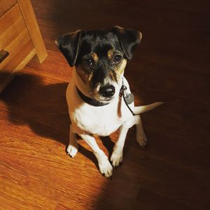 Image chosen by user