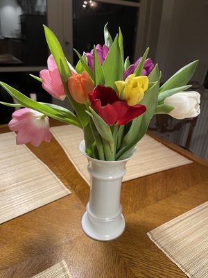 Image chosen by user