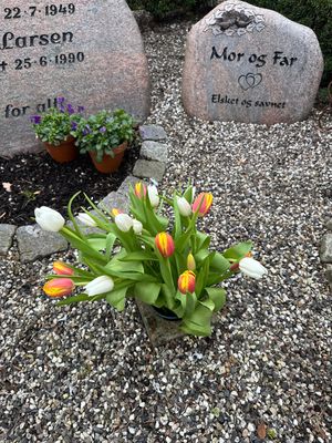 Image chosen by user